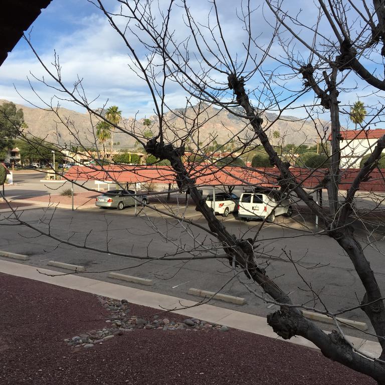 Casas Adobes Condo توسن الغرفة الصورة